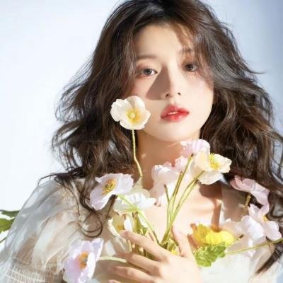 圣诞王子：皇家婚礼