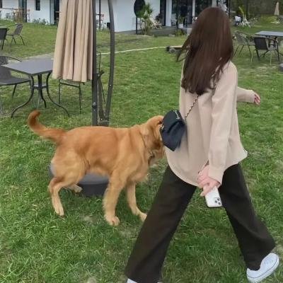义理耻